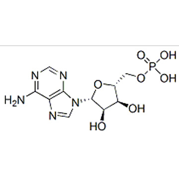 Adenosine 5'-monophosphate