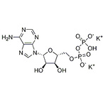 Inosine 5’-diphosphate dipotassium salt