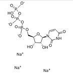 Uridine 5’-triphosphate trisodium salt