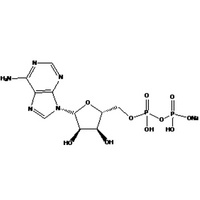 Adenosine 5'-diphosphate monosodium salt