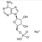 Adenosine 5'-monophosphate monosodium salt