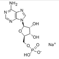 Adenosine 5'-monophosphate monosodium salt