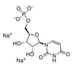 Uridine 5'-monophosphate disodium salt