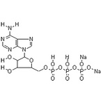 Adenosine 5'-triphosphate disodium salt