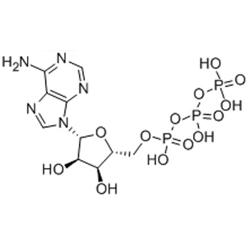 Adenosine 5'-triphosphate