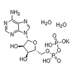 Adenosine 5’-diphosphate monopotassium salt