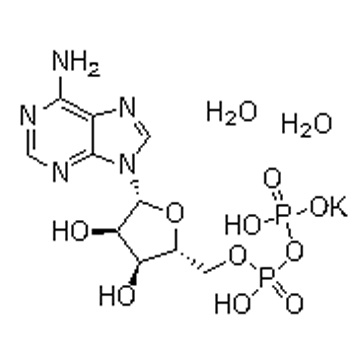 Adenosine 5’-diphosphate monopotassium salt