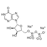 Inosine 5’-diphosphate disodium salt