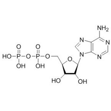 Adenosine 5'-diphosphate