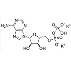 Adenosine 5’-diphosphate dipotassium salt