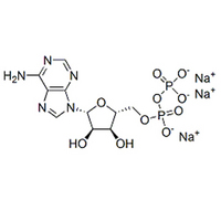 Cytidine 5'-triphosphate trisodium salt