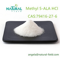 Methyl 5-Aminolevulinic Acid Hydrochloride 79416-27-6