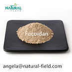 Sample Offered Kelp Extract Fucoidan