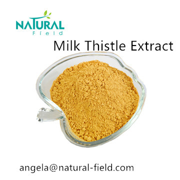 Kosher Certificate Milk Thistle Extract Powder