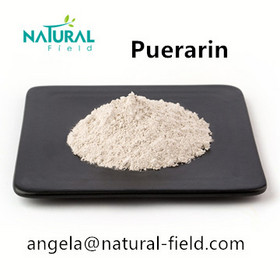 ISO Certificate Kudzu Root Extract Puerarin