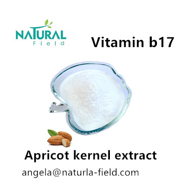 Factory Direct Supply Pure Natural Laetrile Vitamin B17 Amygdalin