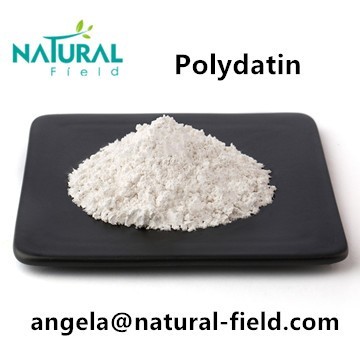 ISO Certificated Factory polygonum cuspidatum extract polydatin powder