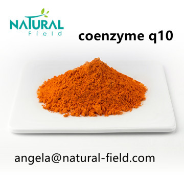 Food and Cosmetic Grade Coenzyme Q10 Fermentative Co Q10 CAS No. 303-98-0 