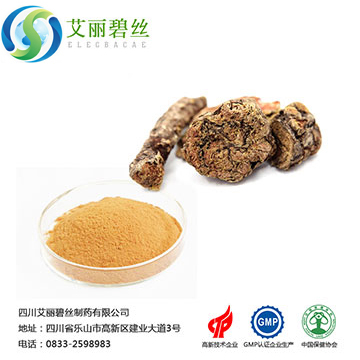 Rhodiola Rosea Extract