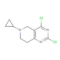 2,4-dichloro-6-cyclopropyl-5,6,7,8-tetrahydropyrido[4,3-d]pyrimidine