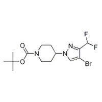 tert-butyl 4-(4-bromo-3-(difluoromethyl)-1H-pyrazol-1-yl)piperidine-1-carboxylate