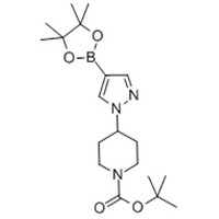 tert-butyl 4-(4-(4,4,5,5-tetramethyl-1,3,2-dioxaborolan-2-yl)-1H-pyrazol-1-yl)piperidine-1-carboxyla