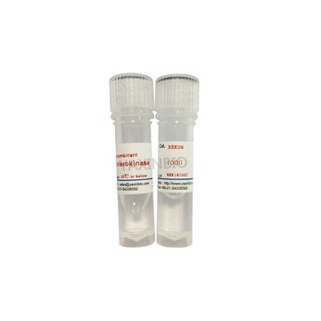 Recombinant Bovine enterokinase,CAS:9014-74-8  