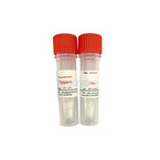 Recombinant Trypsin,Cas:9002-07-7 