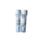 Recombinant Proteinase K,CAS:39450-01-6   EC3.4.21.14