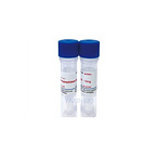 recombinant rat Carboxypeptidase B