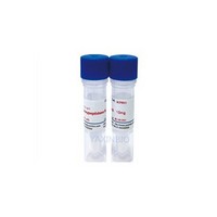 recombinant rat Carboxypeptidase B