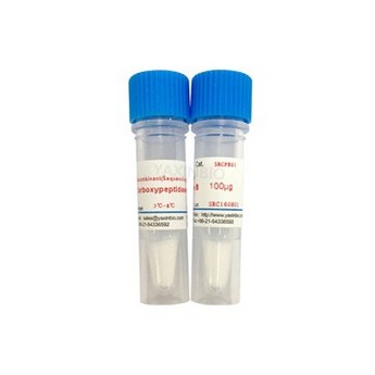 sequencing grade carboxypeptidase B