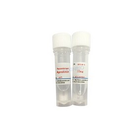 Recombinant aprotinin solid