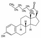 Estradiol Valerate