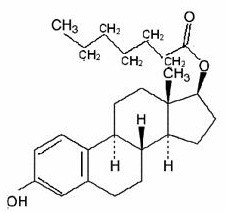 Estradiol Valerate