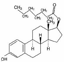 Enanthate Estradiol