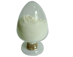 Netilmicin Sulphate