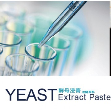 Yeast Extract Paste