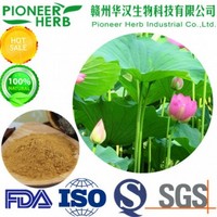 natural lotus leaf extract nuciferine manufacturer