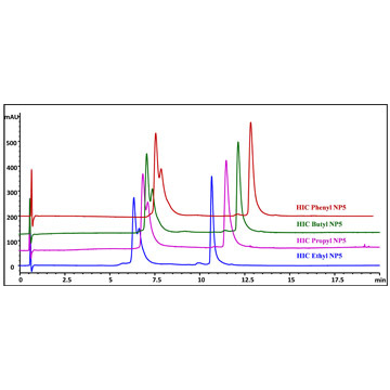 Sepax Proteomix HIC Columns