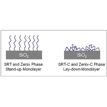 Sepax Zenix-C SEC Columns