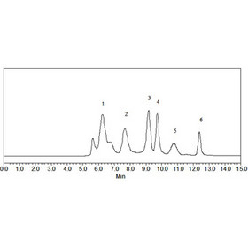 Sepax SRT-C SEC Columns