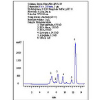 Sepax Nanofilm SEC Columns