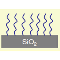 Sepax SRT-10 and SRT-10C SEC Bulk Resin and Columns – FPLC* and HPLC Compatible