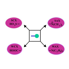 Sepax Proteomix Columns