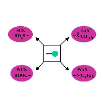 Sepax Proteomix Columns