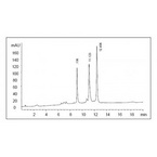 Sepax Antibodix Columns