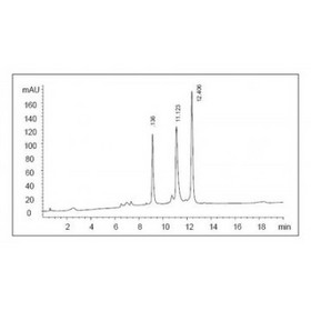 Sepax Antibodix Columns