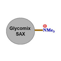 Sepax Glycomix SAX Columns