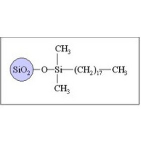 Sepax GP-C18 Columns